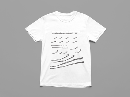 Mount Everest Viral Shirt